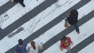 Top View Of Crosswalk With Pedestrian Crossing Intersection Of West 34Th Street Stock Footage