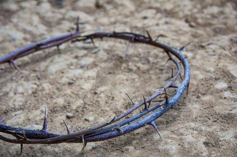 Top view of Crown of thorns representing the sacrifice and suffering of the.. Photos