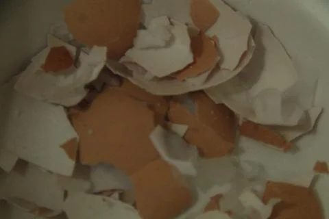 Top View Of Crushed Brown Eggshells In White Bowl Foto stock