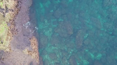 Top view of the crystal clear azure water. You can see the sandy bottom str.. Stock Footage 233335555