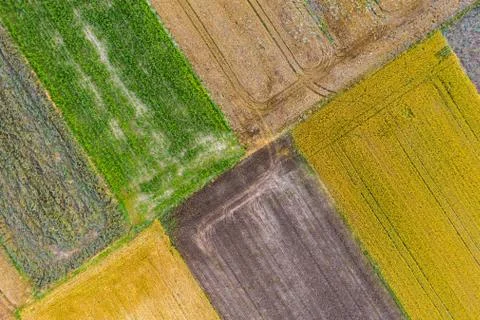 Top view of cultivation fields Foto stock