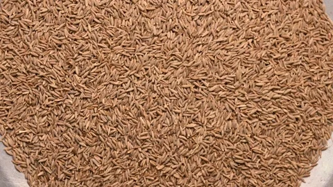 Top View of Cumin Seeds (Jeera) – Texture and Culinary Footage Video stock 329342576