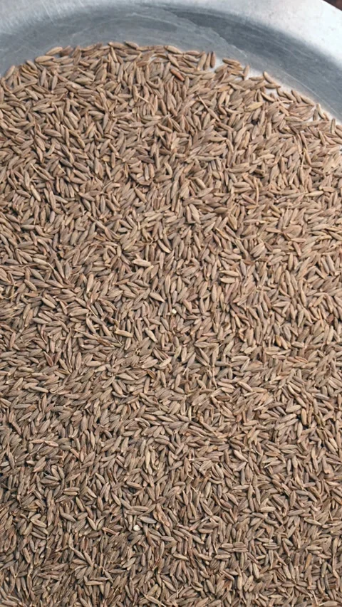 Top View of Cumin Seeds (Jeera) – Texture and Culinary Footage Video stock 329362554