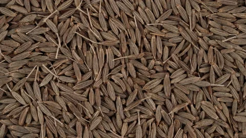 Top view of cumin seeds rotating. Closeup. Macro. Stock-Footage 170459631