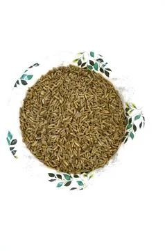 Top view of cumin stock image Stock Photos