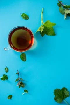 Top view of a cup of tea from mint and currant leaves Stock Photos