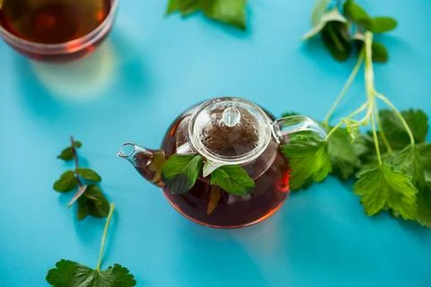 Top view of a cup of tea from mint and currant leaves Stock Photos