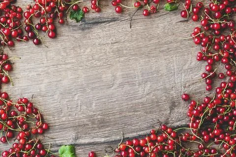 Top View Currant Composition with Space for Text Fotos Stock