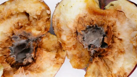 Top view cut out apple with badly rotten core pause and rotating Stock Footage 108821013