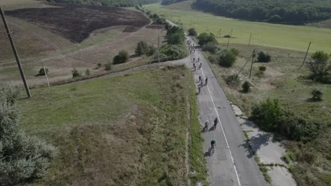 Top view of cyclists riding along the road around which there are trees Video stock 219688012