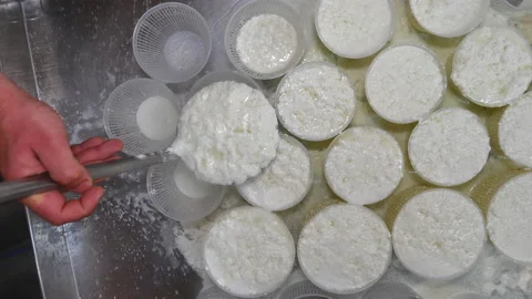 Top view of a dairyman puts hot ricotta cheese in plastic moulds Stock Footage 130902855