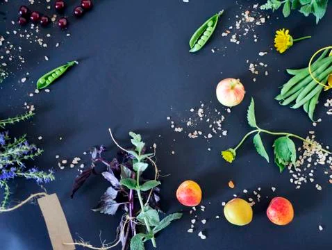 Top view, on a dark background a composition Stock Photos
