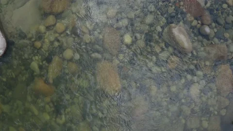 Top view of a dark colored river with clear water, pebbles and a slow current Stock Footage 160323253