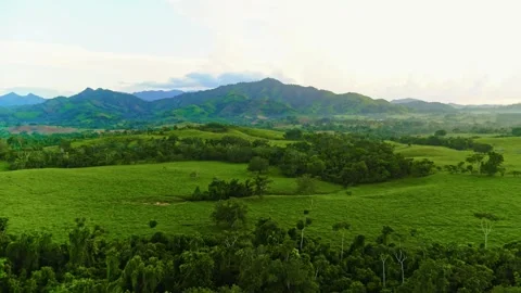 Top view of dark green forest landscape in the mountains. Stock Footage 332658824