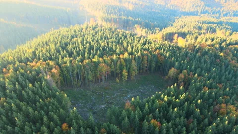 Top view of dark mountain hills covered with bare patches of cut down forest Stock Footage 239175782