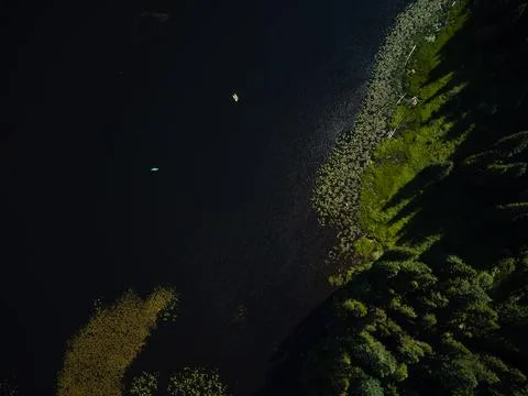 Top view of the dark surface of a large river. Coniferous forest on the coast Stock Photos