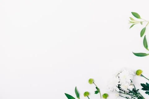 Top view decorative corner frame of green leaves Fotos Stock