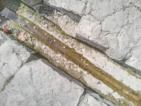 Top view of a decorative drainage gutter. Stock Photos