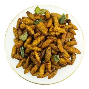 Top View of Deep Fried Coconut Worms on White Background Stock Photos