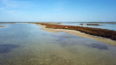 Top view of deers on the lakeshore Stock Footage 120986765