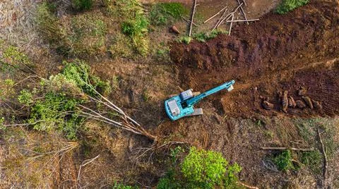 The top view of the deforestation. 写真素材