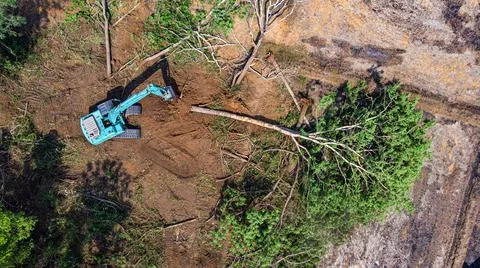 The top view of the deforestation. Stock Photos