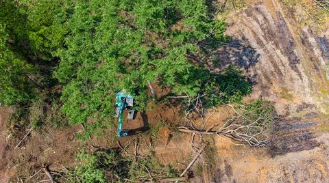 The top view of the deforestation. Stock Photos