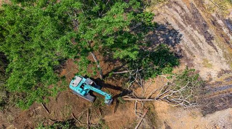 The top view of the deforestation. Stock Photos