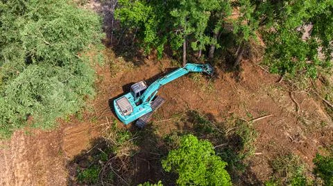 The top view of the deforestation. Stock Photos