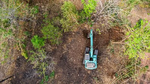 The top view of the deforestation. Stock Photos