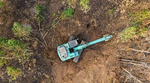 The top view of the deforestation. Stock Photos