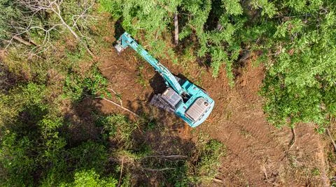 The top view of the deforestation. 写真素材