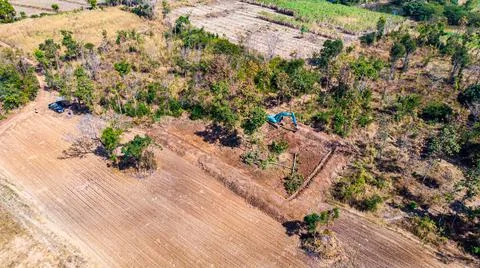 The top view of the deforestation. Stock Photos