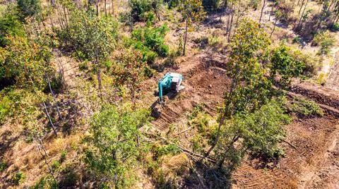 The top view of the deforestation. Stock Photos