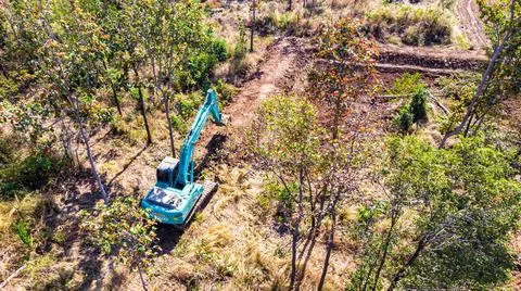 The top view of the deforestation. Stock Photos
