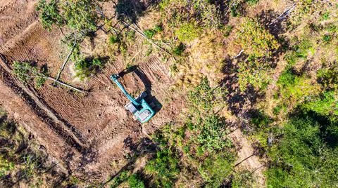 The top view of the deforestation. Stock-Fotos