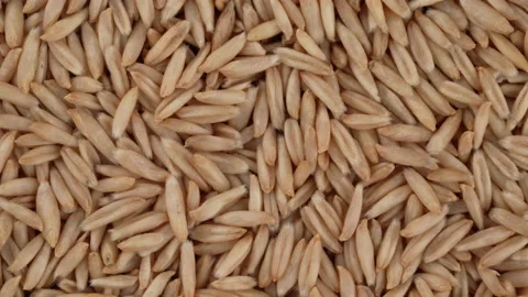 Top view of dehulled oat grains rotating. Closeup. Macro. Video stock 170653294