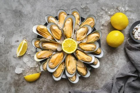 Top view delicious seafood composition Stock Photos