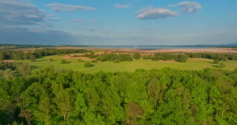 Top View of Dense Forests at Sunset Stock Footage 274913361
