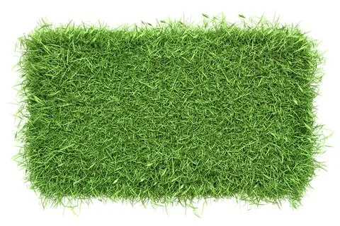 Top view of a dense, green grass patch with a vibrant texture Illustrazione stock