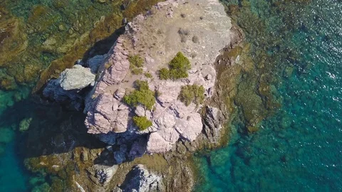 Top view deserted coast with pine in sea. Rocky shore of island Cyprus Stock Footage 98922753