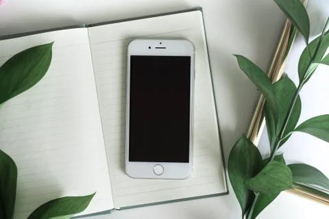 Top view desktop with copy space and green leaves Stock Photos