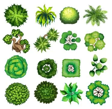 Top view of different kind of plants Stock Illustration