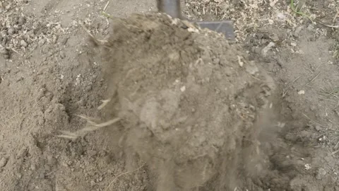 Top view, digging up a garden bed with a shovel. Slow motion Stock-Footage 314631987