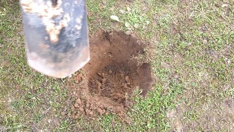 Top View of Digging a Round Hole for Tree Planting.Original sound 스톡 동영상 333104308
