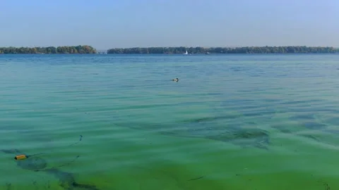 Top view of the dirty river Stock Footage 141979597