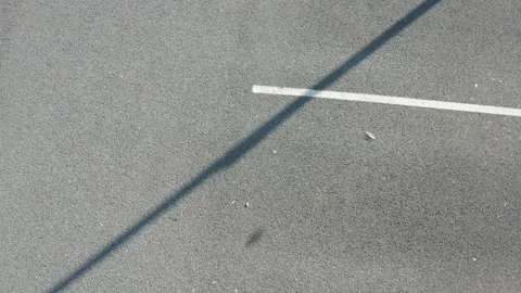 Top view of dog chasing a ball in a car park Video stock 130980953