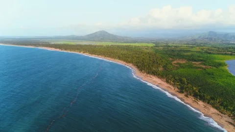 Top view of the Dominican Republic wild palm beach landscape, aerial view. Vidéo 252243444