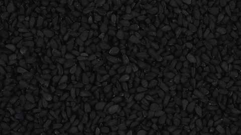 Top view of dried black cumin seeds rotating. Closeup. Macro. Stock-Footage 170416932