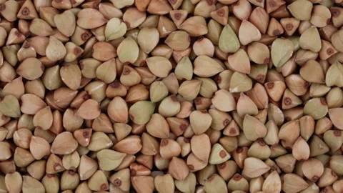 Top view of dried buckwheat grain rotating. Closeup. Macro. Stock Footage 170644132